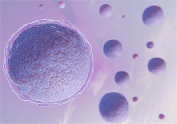 Fertility-1