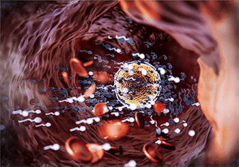 Fertility-2