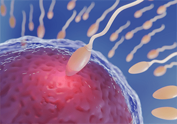 Fertility-3